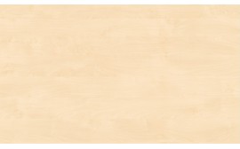 Pannello multistrato di betulla