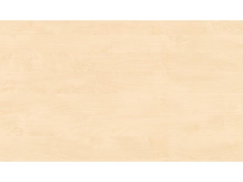 Pannello multistrato di betulla