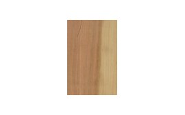 Ciliegio, Gean, Mazzard, Fruit Cherry, Kirschbaum, Cerisier