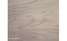 Toulipier , Liriodendron Tulipifera
