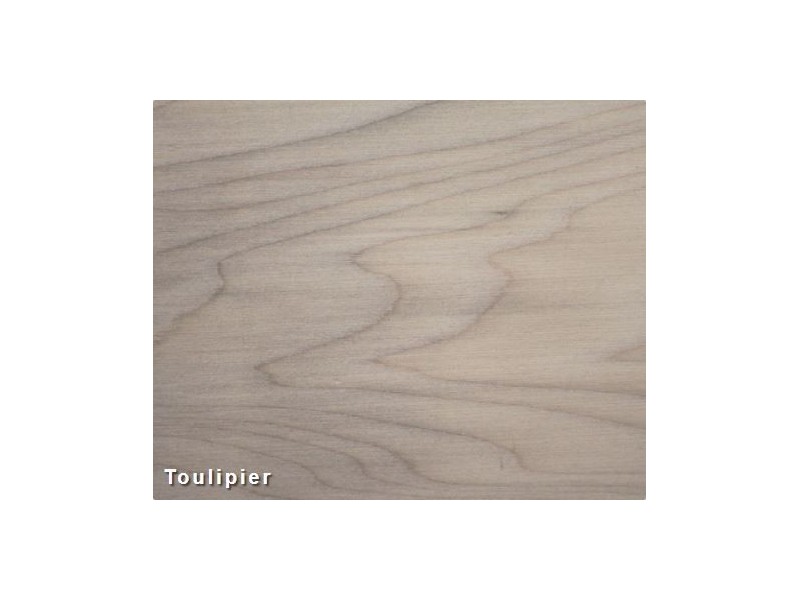 Toulipier , Liriodendron Tulipifera
